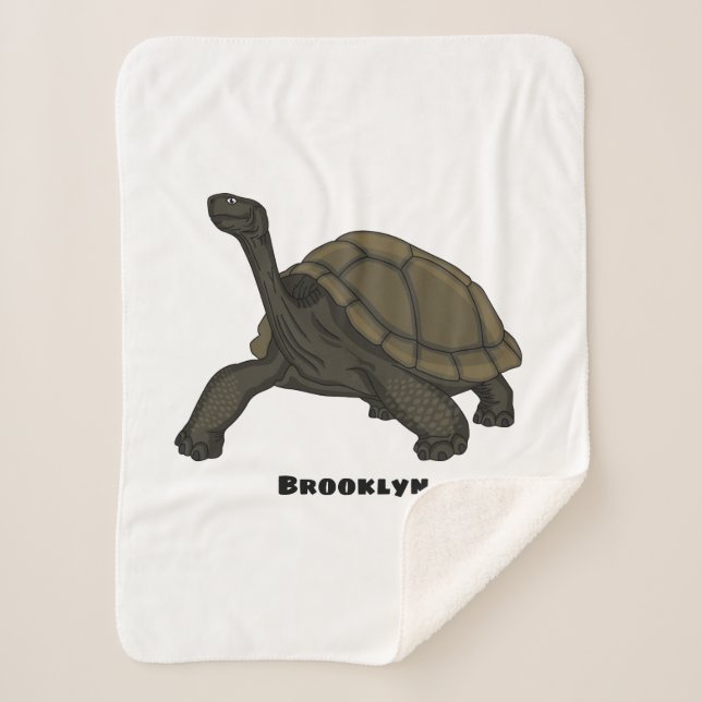 Galapagos-Landschildkröte Sherpadecke (Vorderseite)