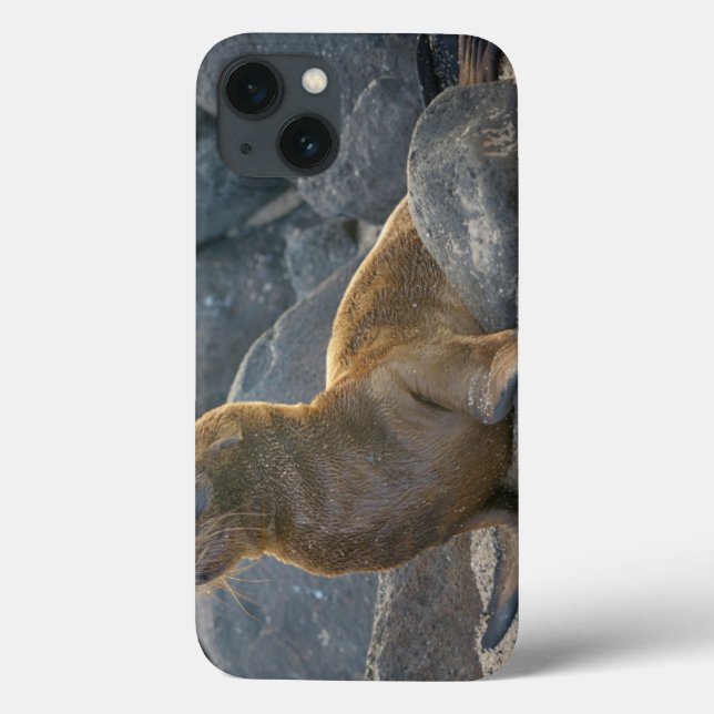 Galapagos-Löwe Case-Mate iPhone Hülle (Rückseite)