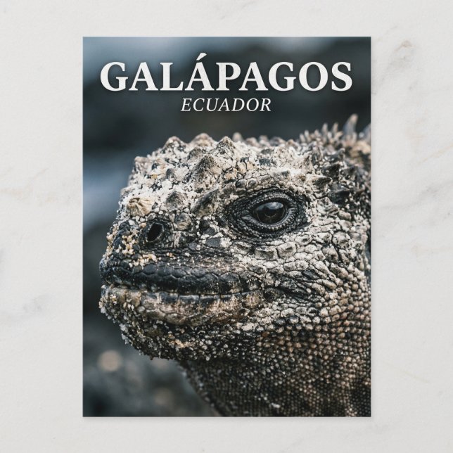 Galápagos-Nationalpark Ecuador Postkarte (Vorderseite)