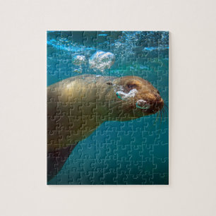 Galapagos-Paradies unter Wasser Puzzle