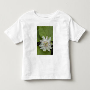 Galapagos-Passionsblume Passiflora foetida Kleinkind T-shirt