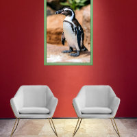 Galapagos-Pinguin
