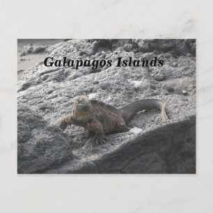 Galapagos Postkarte