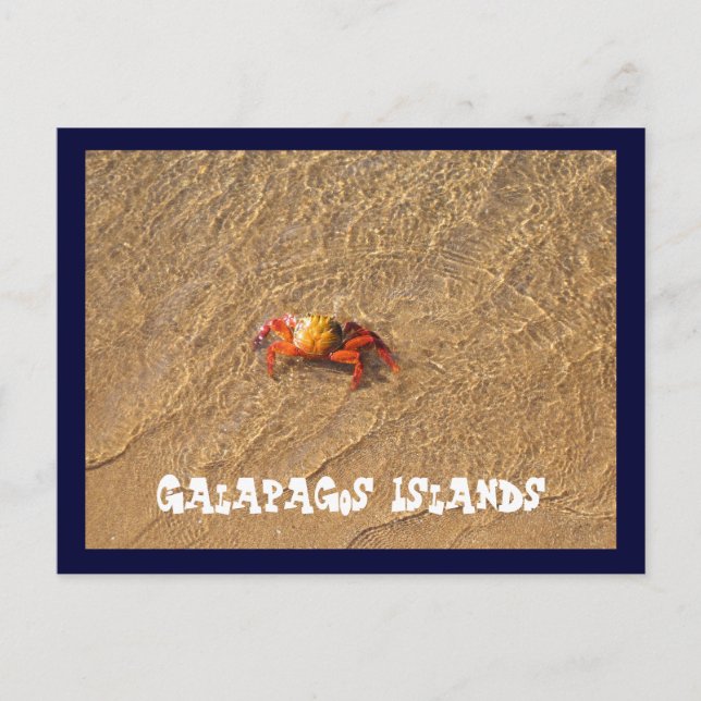 Galapagos Postkarte (Vorderseite)