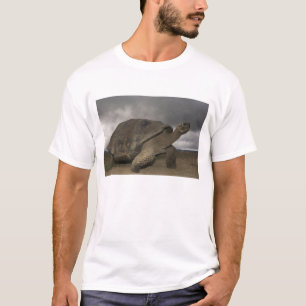 Galapagos-Riesenschildkröte Geochelone T-Shirt
