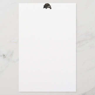 Galápagos/riesige Schildkröte Galapagos Briefpapier