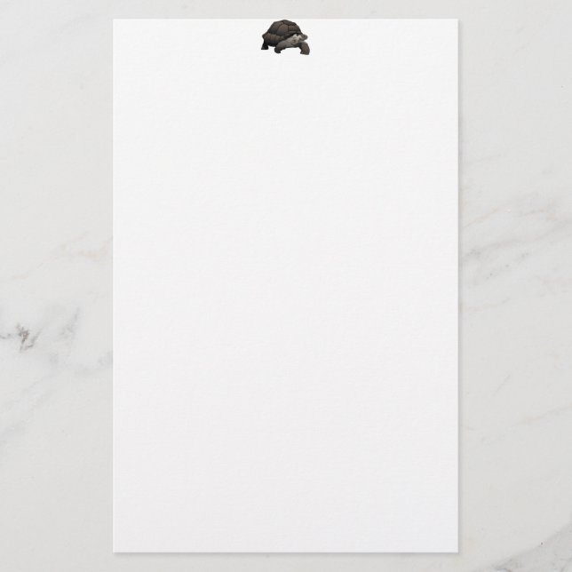 Galápagos/riesige Schildkröte Galapagos Briefpapier (Vorderseite)