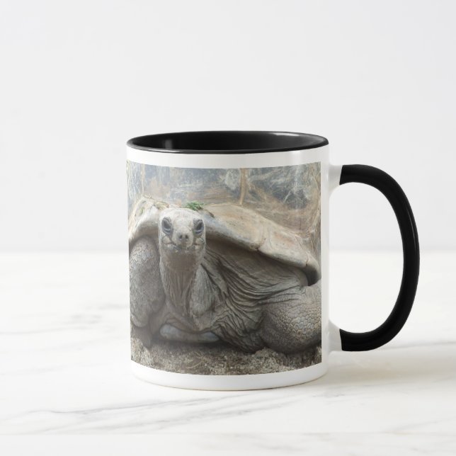 Galapagos-Schildkröten-Tasse Tasse (Rechts)