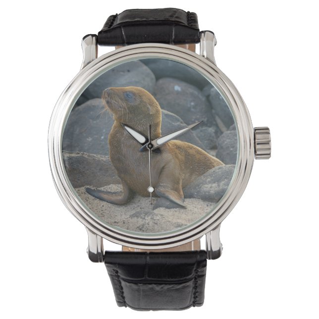 Galapagos Sea Lion Armbanduhr (Vorderseite)