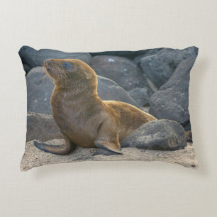 Galapagos Sea Lion Dekokissen