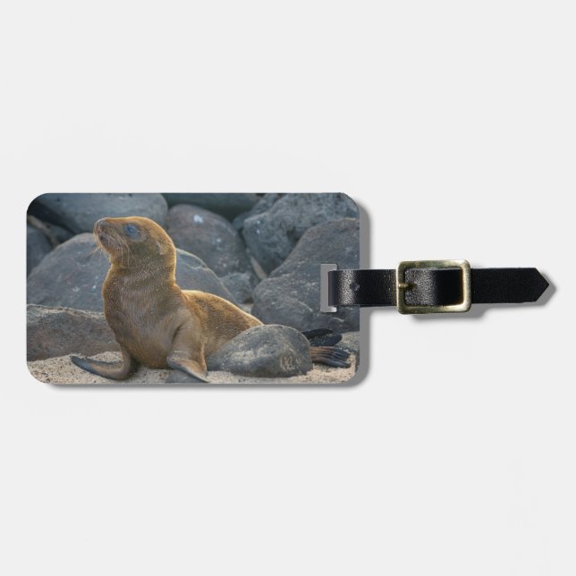 Galapagos Sea Lion Gepäckanhänger (Vorderseite horizontal)