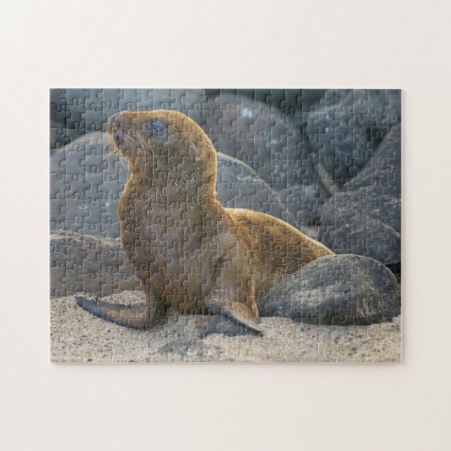 Galapagos Sea Lion Puzzle (Horizontal)