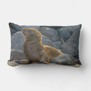 Galapagos-Seelöwe Lendenkissen