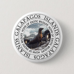 GALAPAGOS-SIEGEL RUND BUTTON