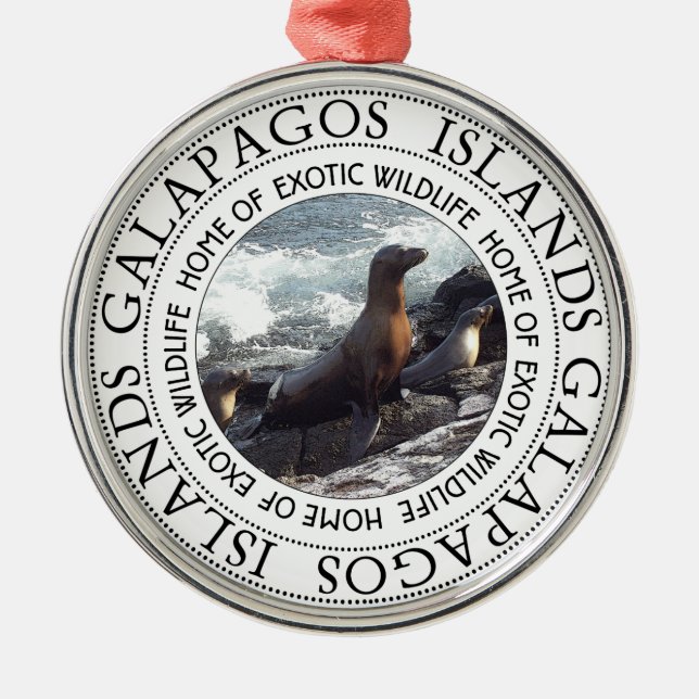 GALAPAGOS-SIEGEL RUND SILBERNES ORNAMENT (Vorne)
