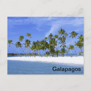Galapagos - Strand Postkarte