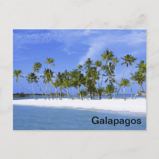 Galapagos - Strand Postkarte