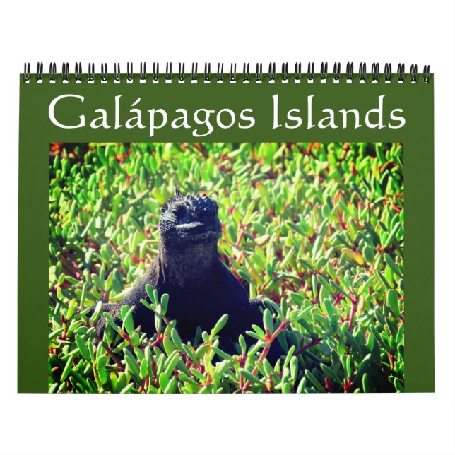 Galapagos-Tiere 2025 Kalender (Titelbild)