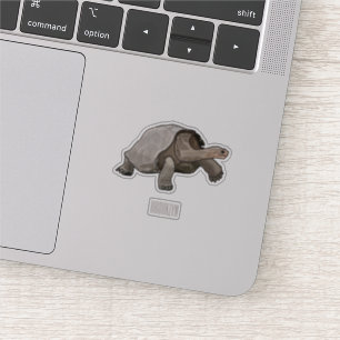 Galapagos-Tortoise-Cartoon Aufkleber