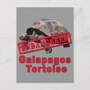 Galapagos Tortoise gefährdete Art Tshirts Postkarte