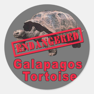 Galapagos Tortoise gefährdete Art Tshirts Runder Aufkleber