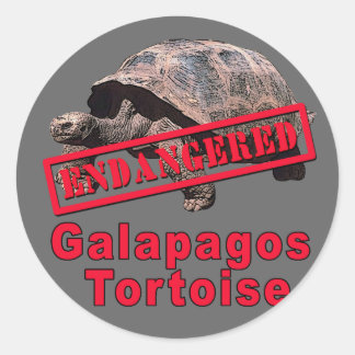 Galapagos Tortoise gefährdete Art Tshirts Runder Aufkleber