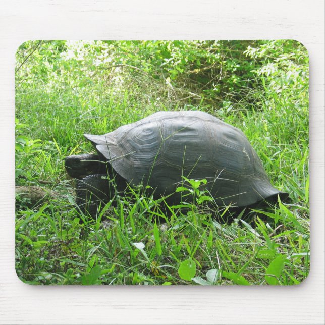 Galápagos Tortoise Mousepad (Vorne)