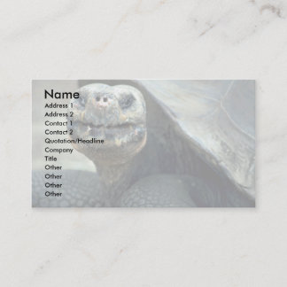Galapagos Tortoise Visitenkarte