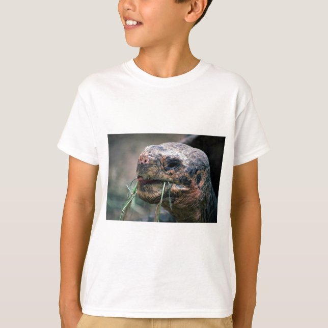 Galapagos Turtle, Galapagos Inseln T-Shirt (Vorderseite)