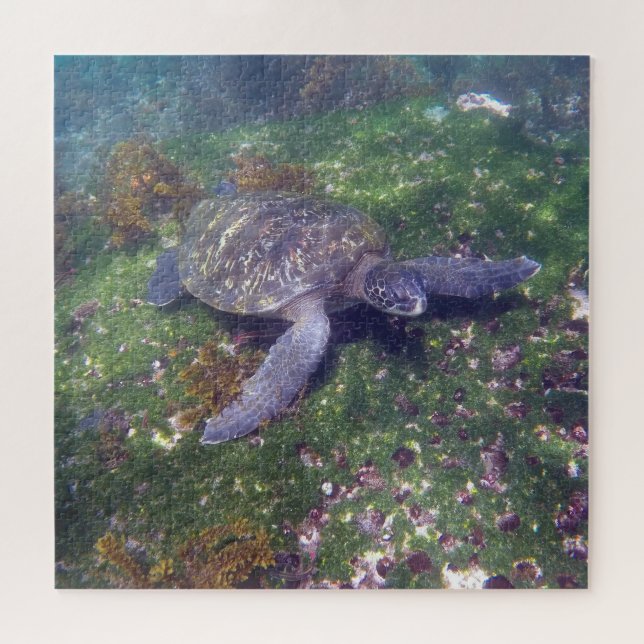 Galapagoschildkröte Puzzle (Horizontal)