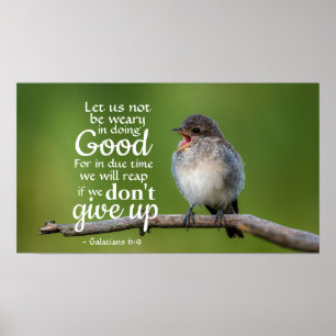 Galatians 6:9 Let us not be weary in doing good Poster