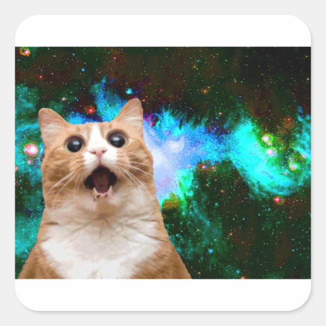 GALAXY CAT QUADRATISCHER AUFKLEBER (Vorderseite)