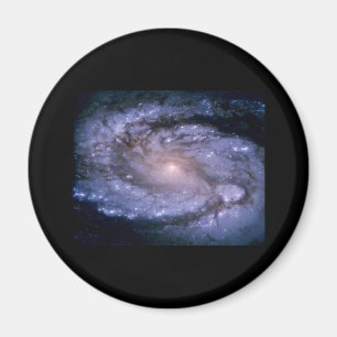 Galaxy M 100 Magnet