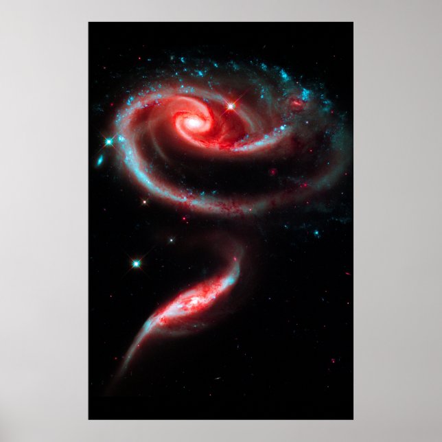 Galaxy Rose Rot Poster (Vorne)