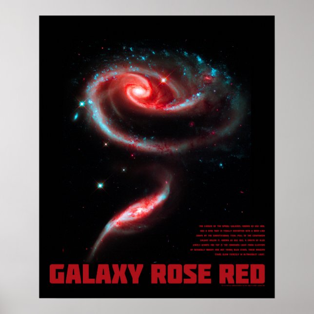 Galaxy Rose Rot Poster (Vorne)