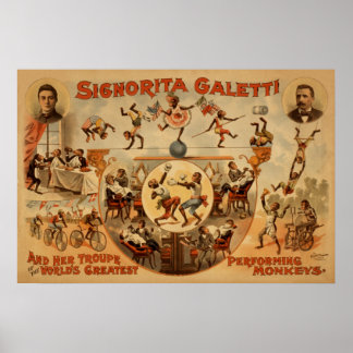 GALETTI Darstellende Affen Act VAUDEVILLE Poster