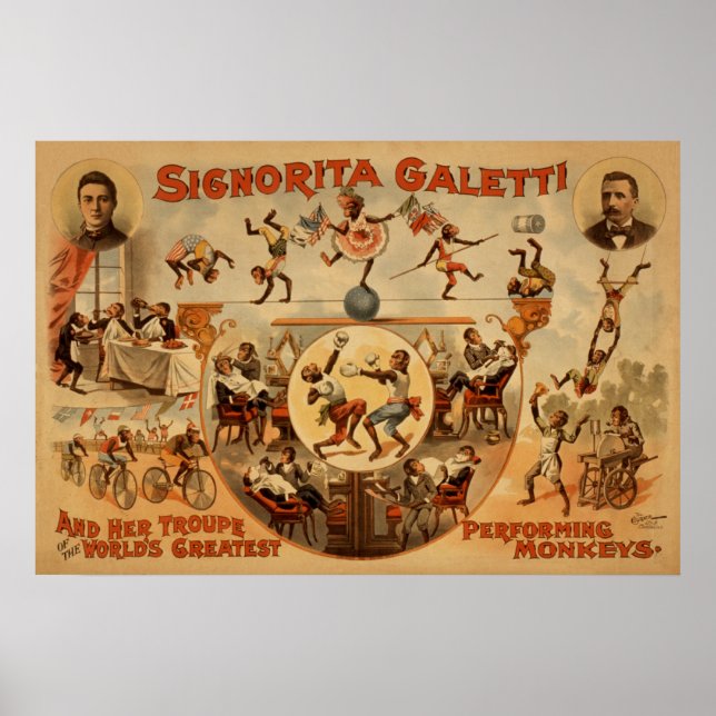GALETTI Darstellende Affen Act VAUDEVILLE Poster (Vorne)