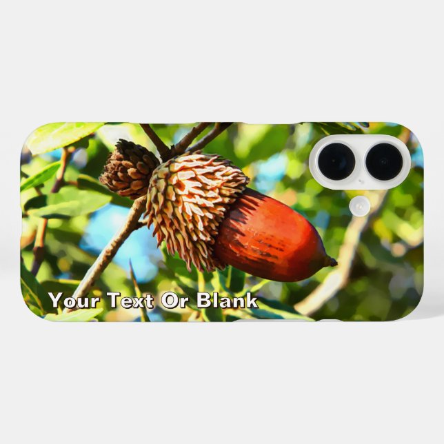 Galilee Acorn Case-Mate iPhone Hülle (Rückseite (Horizontal))