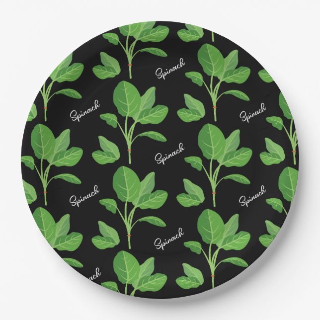 Galilee Pappteller (Vorderseite)