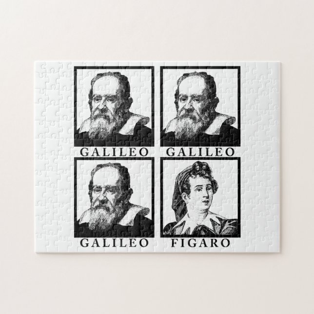 Galileo Figaro BW Puzzle (Horizontal)