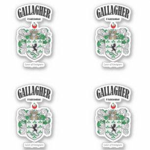 Gallagher Wappen Irish Translation & Meaning (x4) Aufkleber
