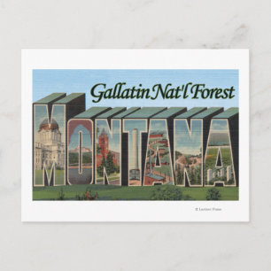Gallatin Nat'l Forest, Montana Postkarte