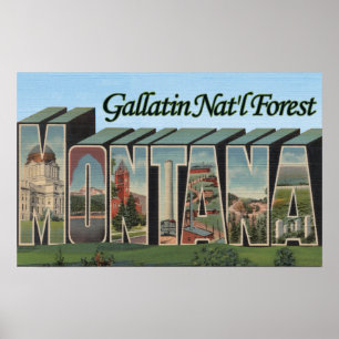 Gallatin-staatlicher Wald, Montana Poster