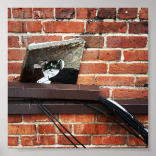 Galleenkatze Poster