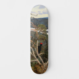 Gallen-Kallela - Großer Schwarzer Specker 1894 Skateboard