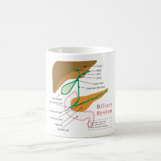 Gallensystems-Diagramm-Diagramm-Gallenweg Tasse