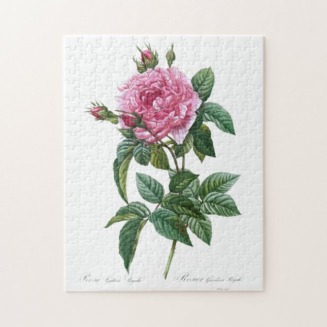 Gallic Rosa Blume Vintag Alte Illustration Puzzle (Vertikal)