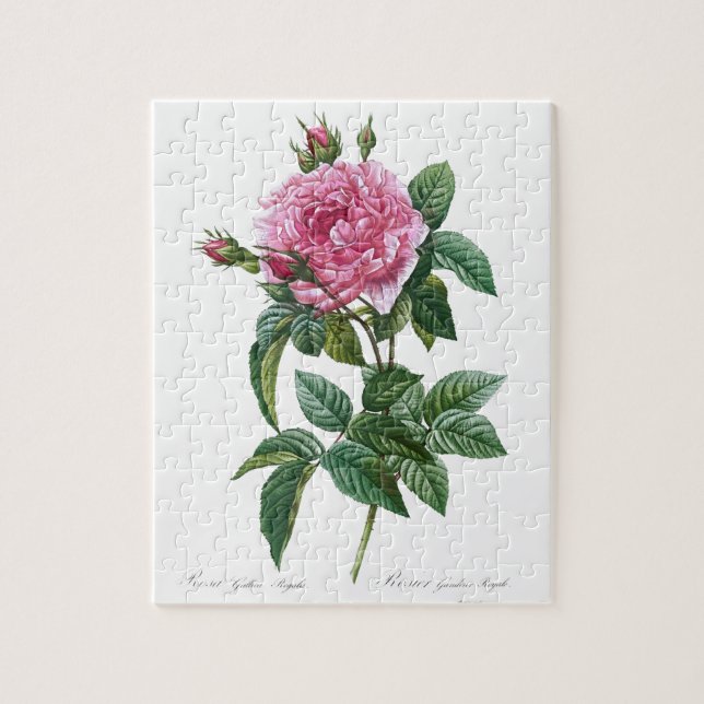 Gallic Rosa Blume Vintag Alte Illustration Puzzle (Vertikal)