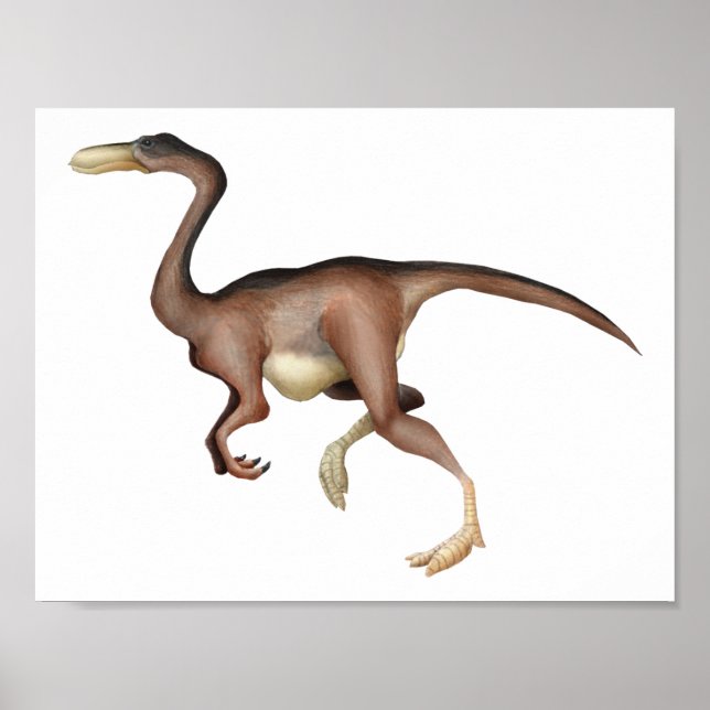 Gallimimus Poster (Vorne)