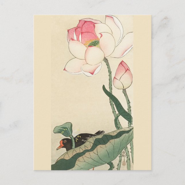 Gallinule mit Lotus-Blume von Ohara Koson Postkarte (Vorderseite)